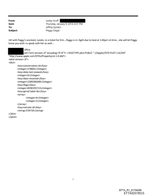 Preview of EFTA02579515