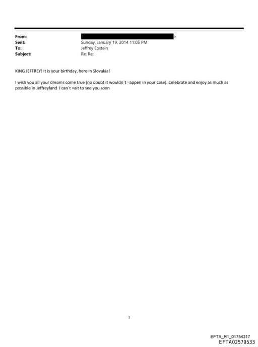 Preview of EFTA02579533