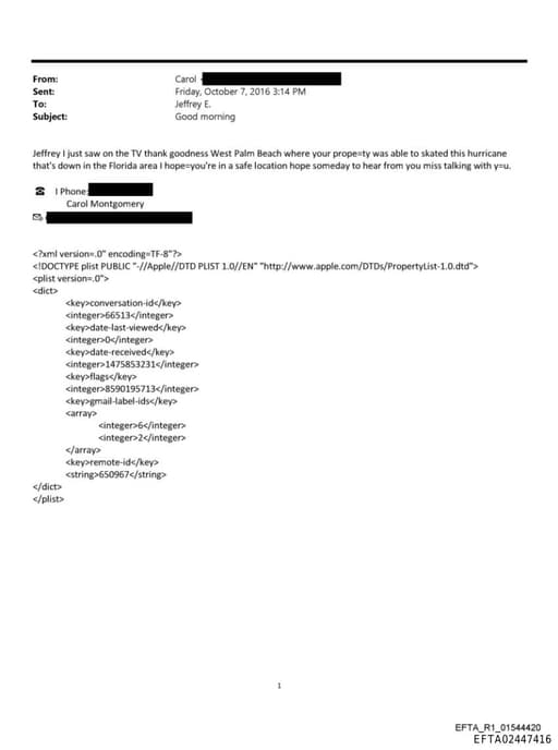 Preview of EFTA02447416