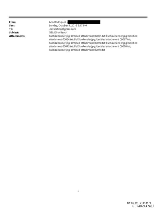 Preview of EFTA02447462