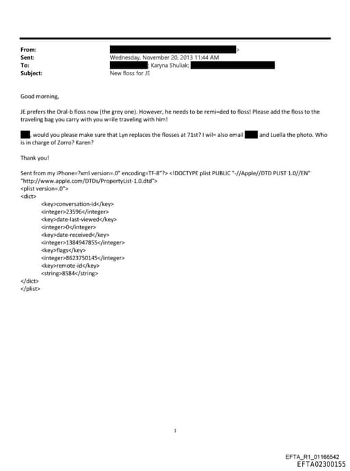 Preview of EFTA02300155