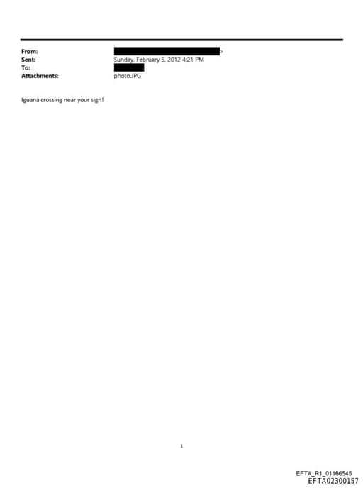 Preview of EFTA02300157