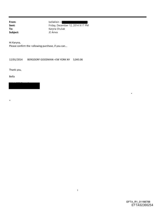 Preview of EFTA02300254