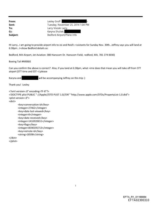 Preview of EFTA02300310