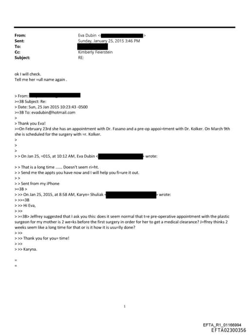 Preview of EFTA02300356