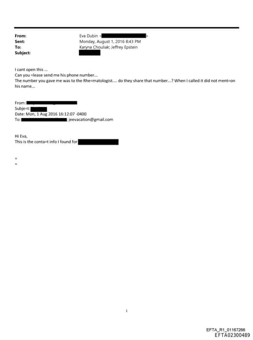 Preview of EFTA02300489