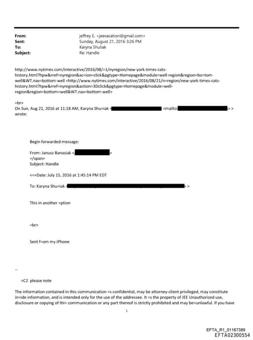 Preview of EFTA02300554