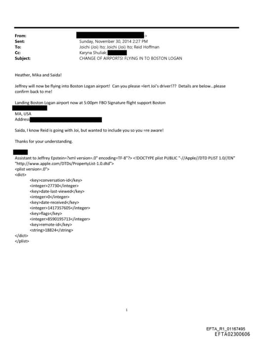 Preview of EFTA02300606