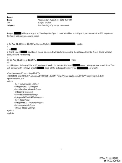 Preview of EFTA02300608