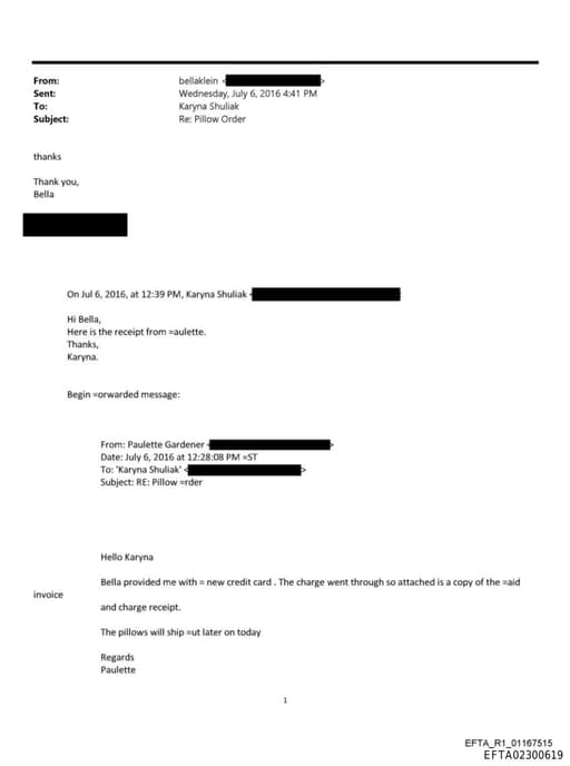 Preview of EFTA02300619