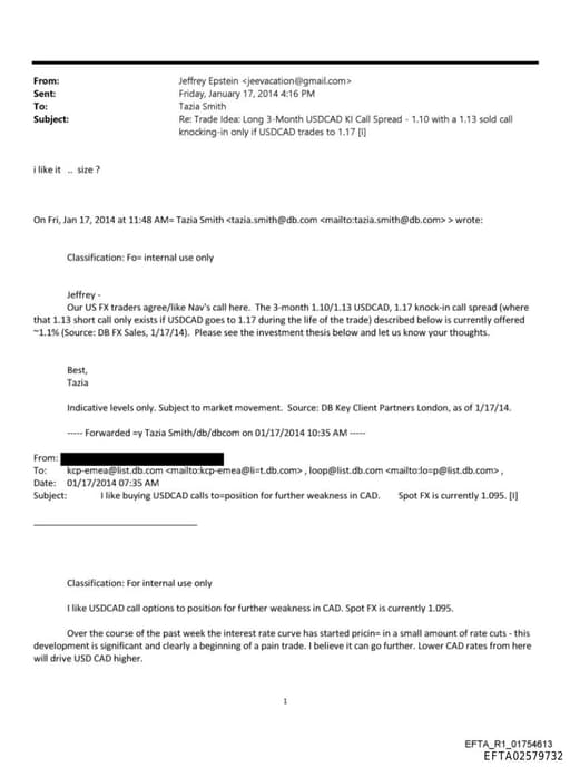 Preview of EFTA02579732