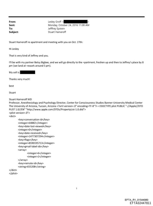 Preview of EFTA02447811