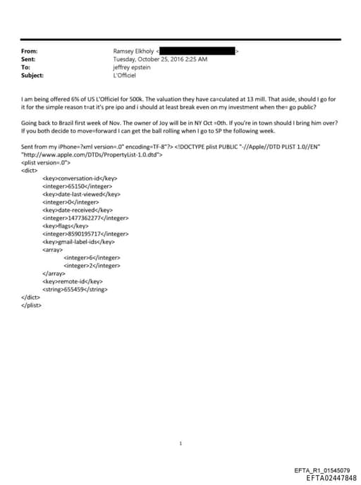 Preview of EFTA02447848