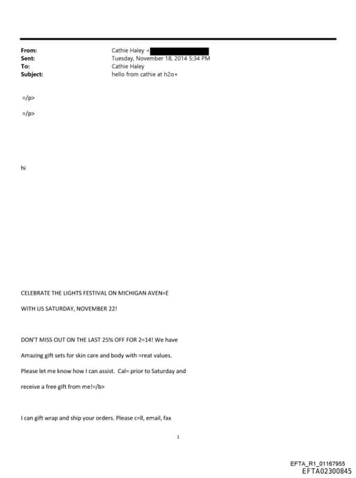 Preview of EFTA02300845