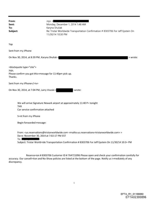 Preview of EFTA02300896