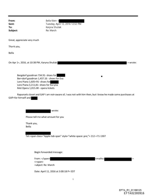 Preview of EFTA02300916