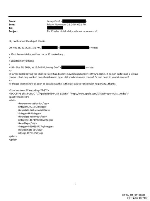 Preview of EFTA02300980