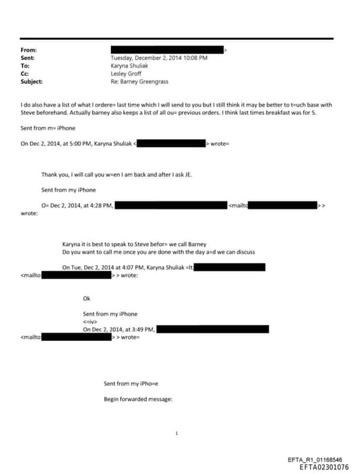 Preview of EFTA02301076