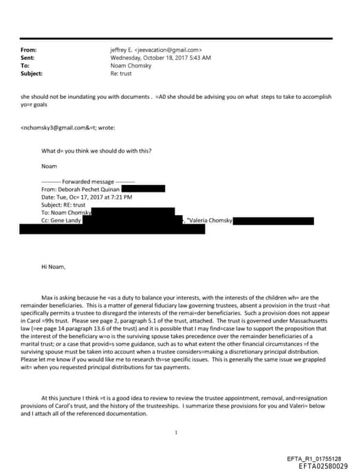 Preview of EFTA02580029