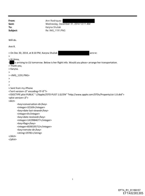 Preview of EFTA02301305