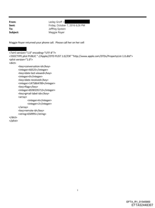 Preview of EFTA02448307