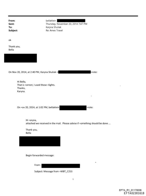 Preview of EFTA02301618