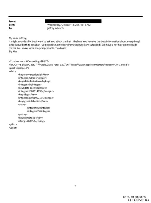 Preview of EFTA02580347