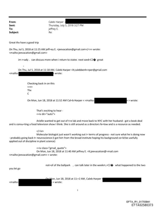 Preview of EFTA02580373