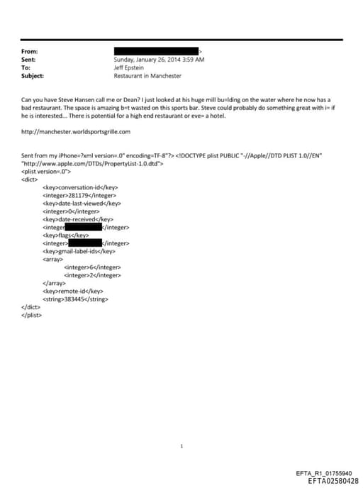 Preview of EFTA02580428