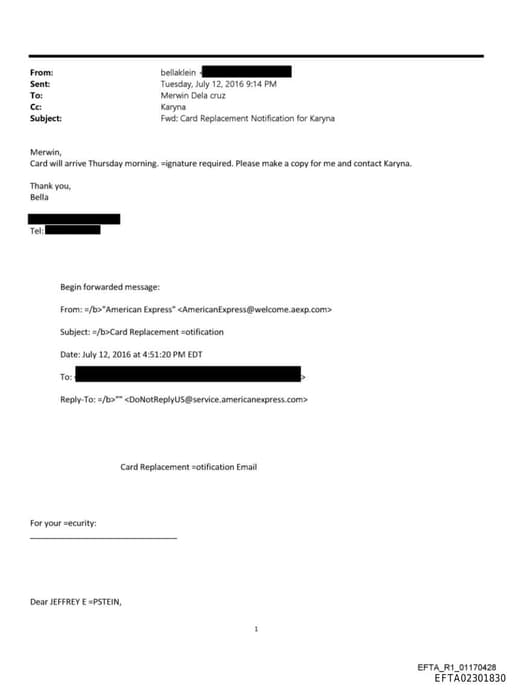 Preview of EFTA02301830