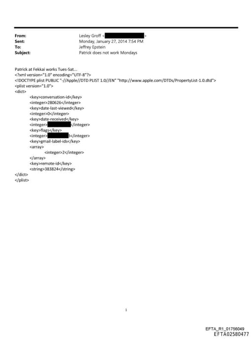 Preview of EFTA02580477