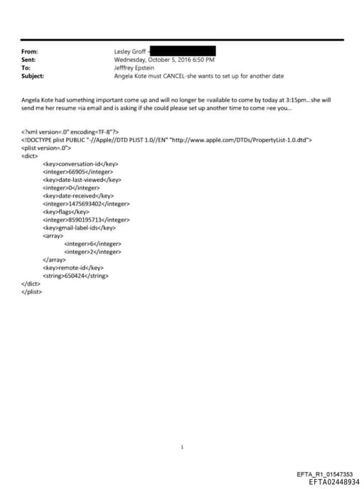 Preview of EFTA02448934