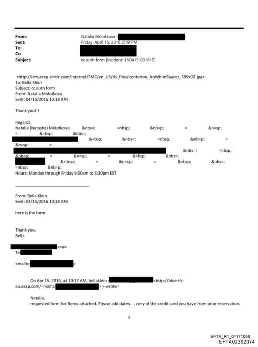 Preview of EFTA02302074