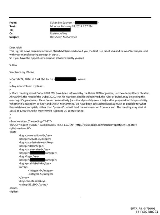 Preview of EFTA02580724