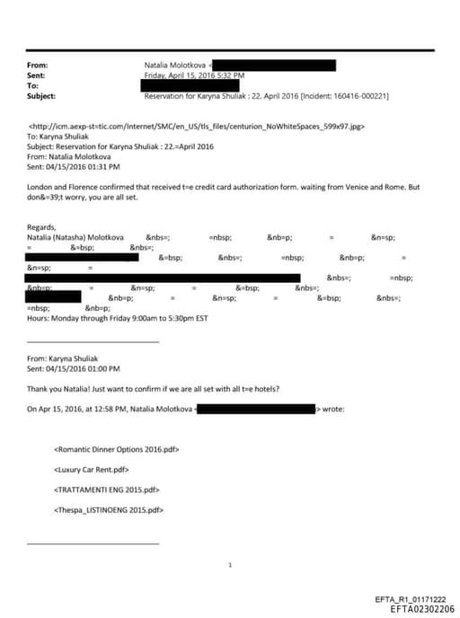 Preview of EFTA02302206