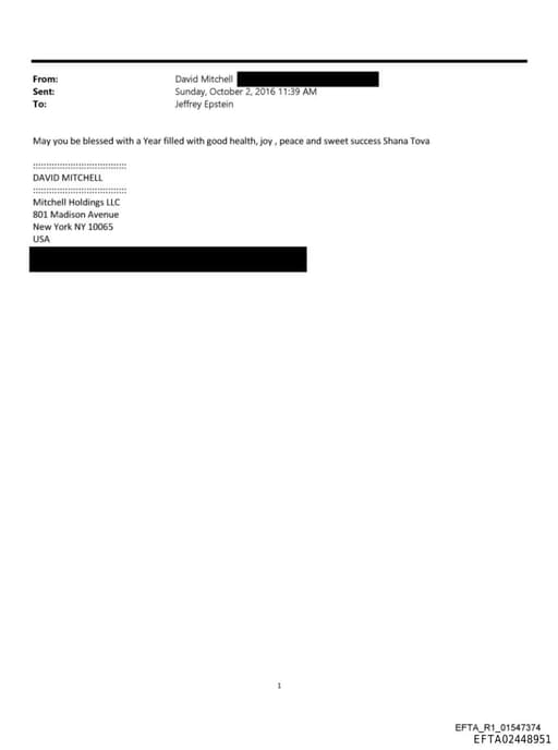 Preview of EFTA02448951