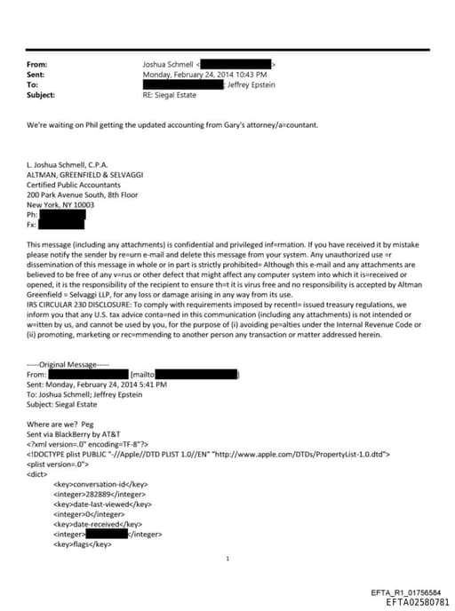 Preview of EFTA02580781