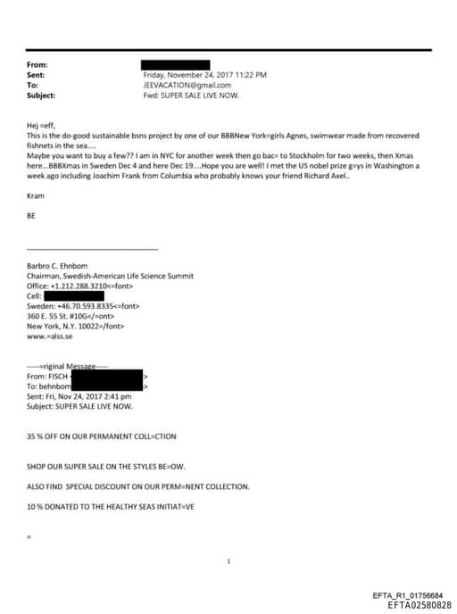 Preview of EFTA02580828