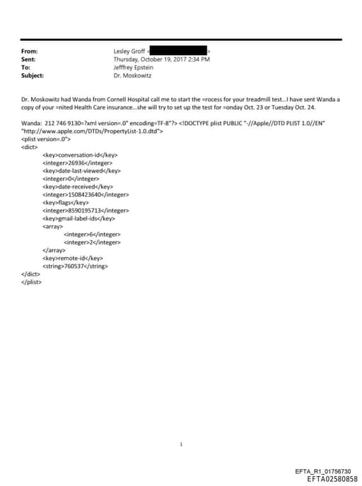 Preview of EFTA02580858