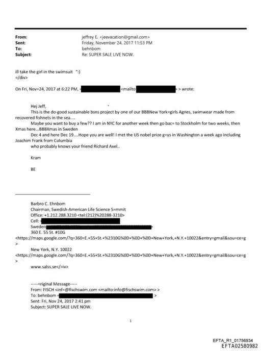 Preview of EFTA02580982