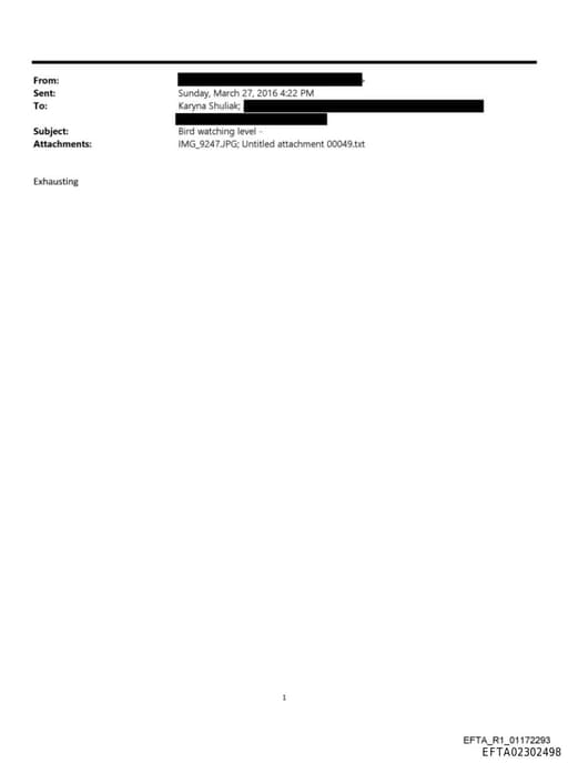 Preview of EFTA02302498