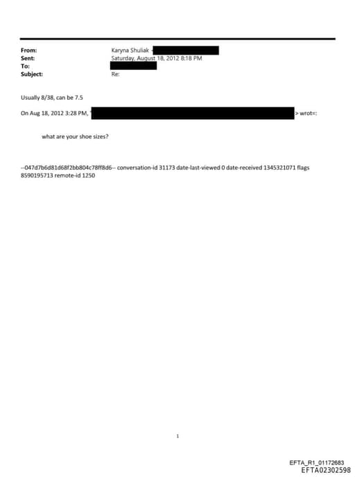 Preview of EFTA02302598