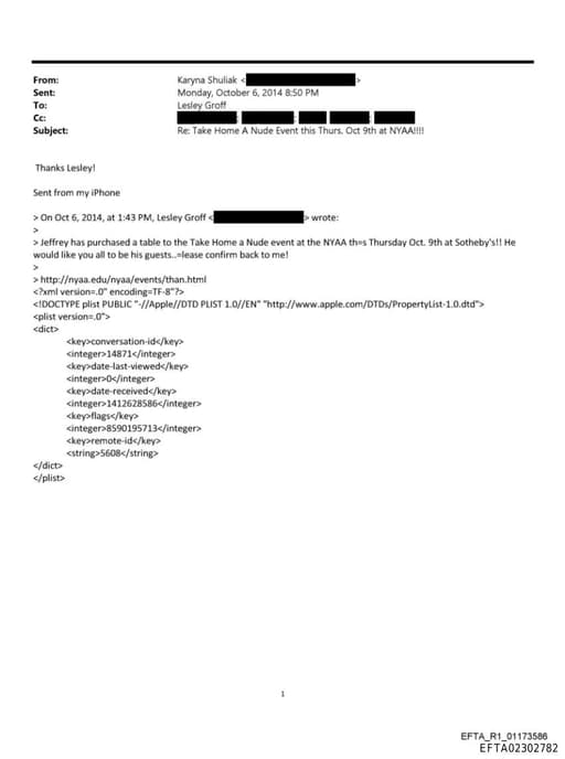 Preview of EFTA02302782