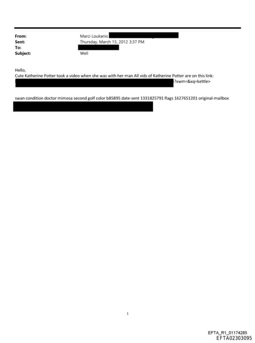 Preview of EFTA02303095