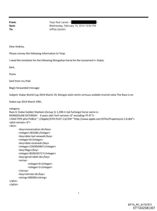 Preview of EFTA02581307