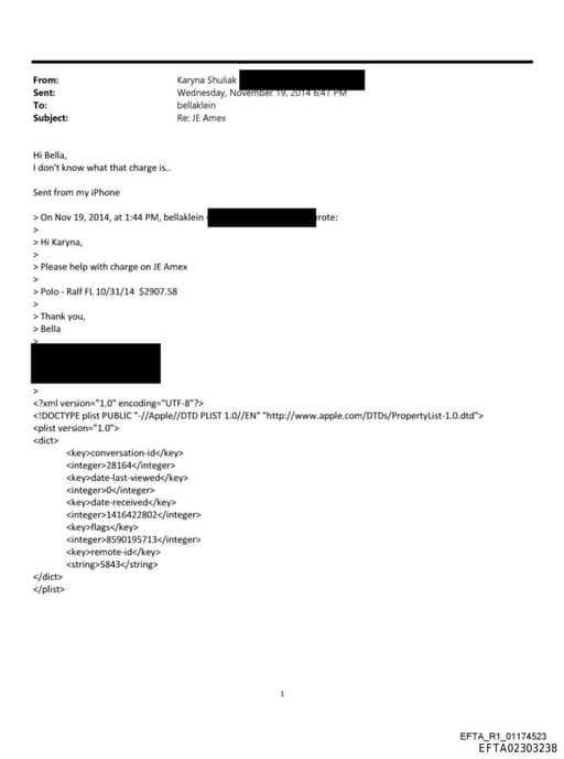 Preview of EFTA02303238