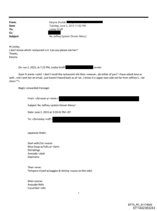 Preview of EFTA02303243