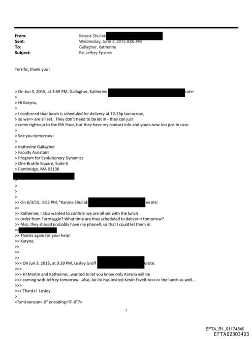 Preview of EFTA02303403