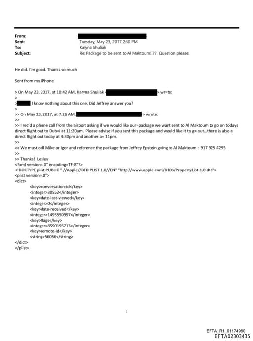 Preview of EFTA02303435