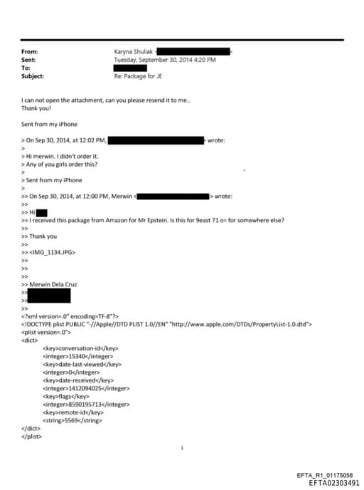 Preview of EFTA02303491